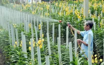Tổ chức hội nghị tổng kết 5 năm xây dựng nông thôn mới