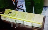 Quảng Ninh: Bắt đối tượng vận chuyển buôn bán 10 bánh heroin