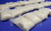 Bốn nước châu Âu hợp tác chống tội phạm xuyên quốc gia