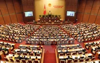 Mời độc giả VTV News gửi ý kiến cử tri