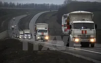 Nga, EU viện trợ nhân đạo cho miền Đông Ukraine