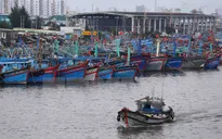 Ứng phó với bão số 3: Học sinh Đà Nẵng nghỉ học từ trưa 14/9
