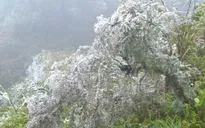 Băng đóng dày trên nền nhiệt 1,4 độ C tại huyện Sa Pa