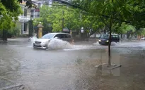 Thái Bình: Mưa lớn trên diện rộng