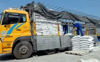 Lâm Đồng thu giữ gần 6 tấn phân bón giả