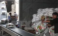 Xuất khẩu gạo 2015 của Việt Nam có khả năng đạt 6,8 triệu tấn