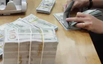 Tập đoàn khó khăn tài chính không được cấp bảo lãnh Chính phủ