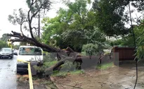 Bão đổ bộ Australia, 3 người thiệt mạng
