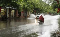 Sẽ có 1 - 2 cơn bão, áp thấp gây ảnh hưởng trực tiếp trong tháng 8