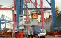 TP.HCM: Tăng trưởng GDP năm 2015 dự kiến đạt 9,8%