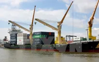 Cảng Hải Phòng đón mã hàng đầu tiên của năm mới 2015