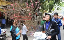 Bắc Bộ sẽ trở rét vào dịp Tết Nguyên đán Ất Mùi
