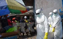 Bắt đầu thử nghiệm 2 loại vaccine phòng Ebola tại Liberia
