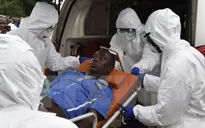 Thuốc điều trị Ebola cho kết quả khả quan ở Guinea
