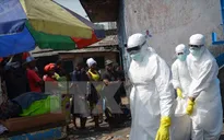 Số ca nhiễm mới Ebola tại Tây Phi tăng nhanh trở lại