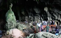 Gần 10.000 du khách đến Phong Nha - Kẻ Bàng dịp Tết Ất Mùi