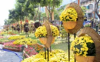 Rực rỡ đường hoa Tết Ất Mùi ở TP.HCM