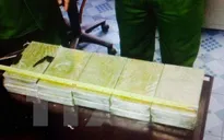Thu giữ gần 20kg ma túy trên tuyến biên giới Móng Cái