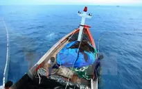 Hỗ trợ 16 chủ tàu, ngư dân gặp nạn ở vùng biển Hoàng Sa