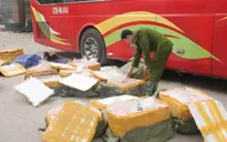 Ninh Bình: Thu giữ gần 6 tạ nội tạng động vật đã bốc mùi