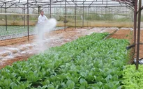 JICA hỗ trợ Việt Nam phát triển chuỗi giá trị nông sản