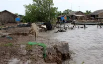 Cà Mau huy động 40 tỷ đồng triển khai khắc phục sạt lở đê