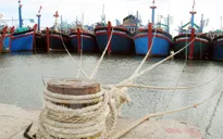 Chủ tịch nước gửi thư nhân ngày phòng, chống lụt bão