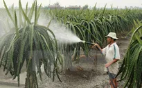 Quảng Ninh xây dựng thương hiệu thành công cho 21 sản phẩm nông nghiệp