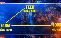 Từ trang trại đến bàn ăn - mô hình phát triển ngành chăn nuôi
