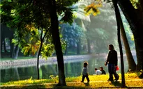 Bắc bộ nắng ấm, các tỉnh miền Trung có mưa to