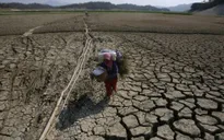 Indonesia đối mặt với hạn hán khắc nghiệt
