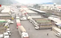 Bộ Công thương kiểm tra tình hình ùn tắc nông sản ở Lạng Sơn