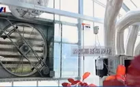 Ứng dụng điện toán đám mây trong nông nghiệp