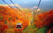 Nhiều tour du lịch ưu đãi ngày 20/10