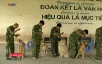 Trường dạy tiếng Anh dành cho chó cưng