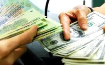 TP.HCM: Đã có sự dịch chuyển từ tiền USD sang VND