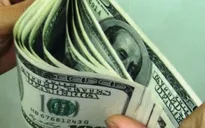 USD tăng đột biến, doanh nghiệp thuỷ sản lao đao