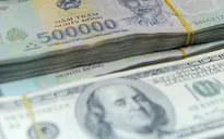 NHNN: Sẵn sàng bán ngoại tệ để ổn định thị trường