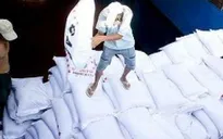 Hiệp hội Mía đường kiến nghị chưa nhập khẩu đường