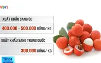 Vải Việt Nam đã sẵn sàng vượt biển?