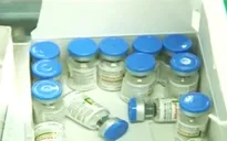Thực nghiệm lâm sàng vaccine cúm A/H5N1 sản xuất tại Việt Nam