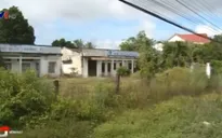 Tình trạng quản lý kém đang gây lãng phí đất đai nông, lâm trường