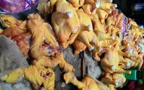 Bổ sung vàng ô vào danh mục chất cấm sử dụng trong chăn nuôi