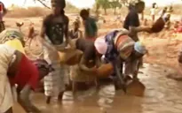 Trẻ em Mali bỏ học đi khai thác vàng