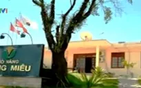 Chính phủ yêu cầu thu thuế của hai công ty vàng Phước Sơn và Bồng Miêu
