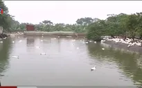 Còn nhiều vướng mắc từ chính sách cho vay mới nông nghiệp