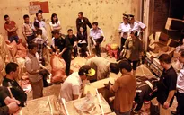 Quảng Ninh bắt vụ vận chuyển ngà voi và vẩy tê tê