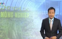 Ùn ứ dưa hấu ở cửa khẩu: Bài toán công nghệ cho nông nghiệp
