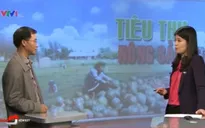 Tiêu thụ dưa hấu, hành tím: Không thể dựa mãi vào lòng trắc ẩn