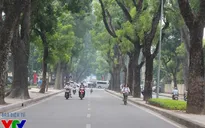 Bắc Bộ bớt hanh khô, Nam Bộ mưa về chiều tối